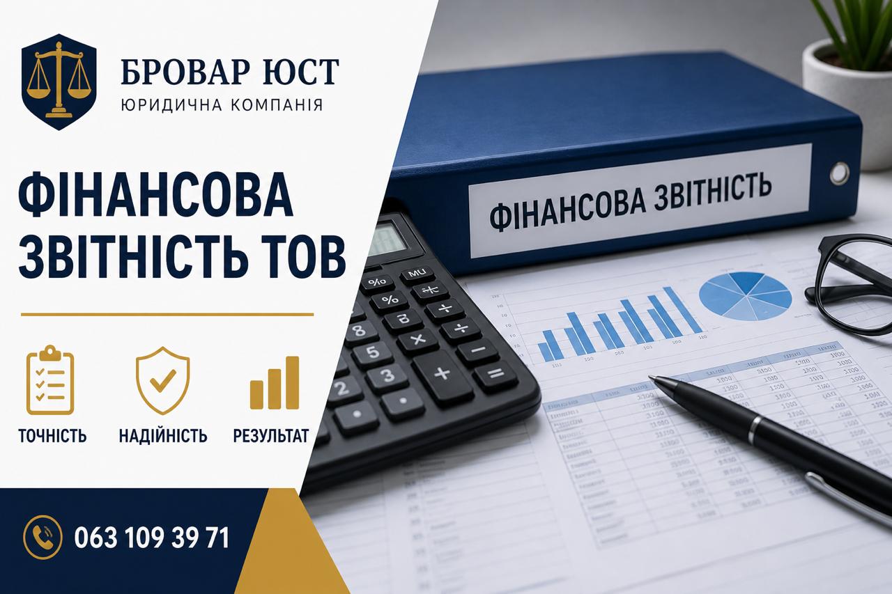 Фінансова звітність ТОВ